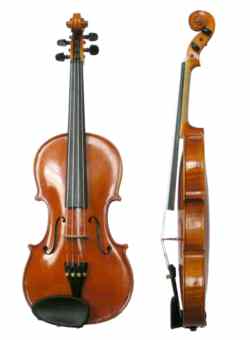 Violon